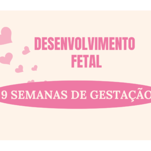 Desenvolvimento Fetal Com 9 Semanas de Gestação