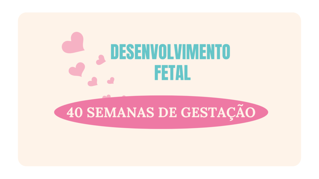 O Desenvolvimento Fetal com 40 Semanas de Gestação: Prontos para o Grande Encontro