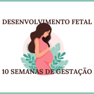 Desenvolvimento Fetal Com 10 Semanas de Gestação