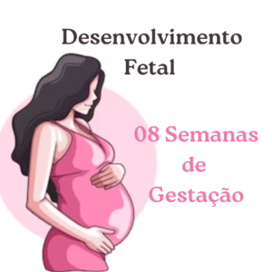 O Desenvolvimento Fetal Com 8 Semanas de Gestação